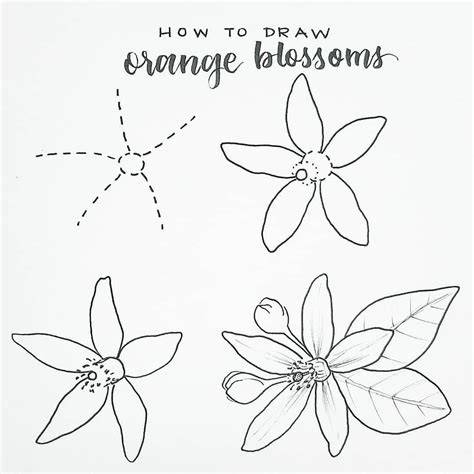 This item is unavailable Etsy in 2020 Orange blossom, Flower drawing, Flower art