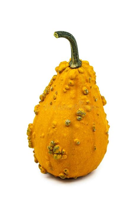 Orange Decorative Gourd