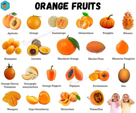 Orange Description Fruit