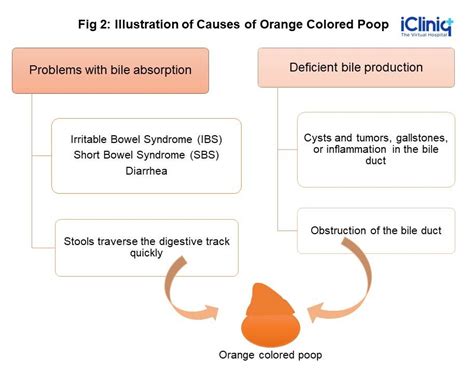 Orange Diarrhea No Gallbladder