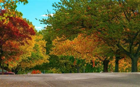 Orange Dog Friendly Accommodation