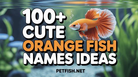 Orange Fish List