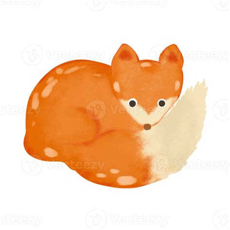 Orange Fox Description