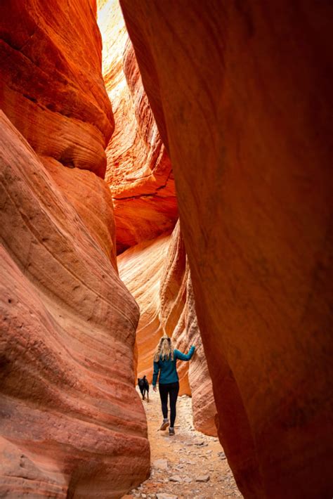 Pin on Hiking Trails at Orange County
