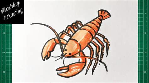 Orange Lobster Draw