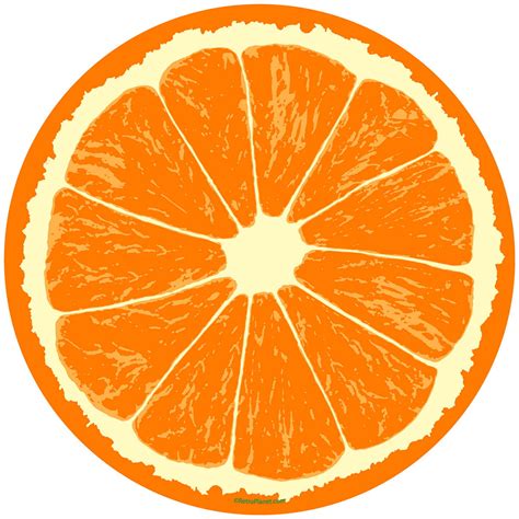 Orange Slice Drawing