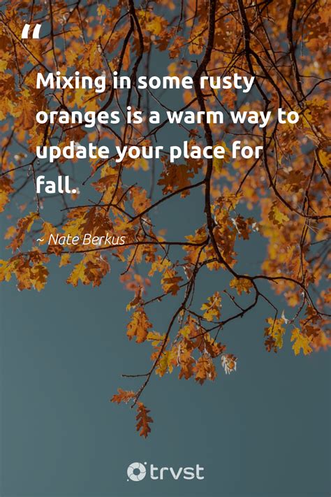 Oranges Quote