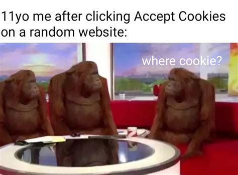 orangutan where meme