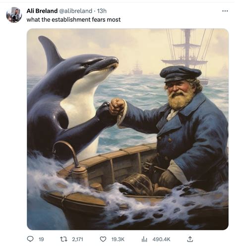 Born To Swim Orca Wars / Killer Whales Attacking Boats Know Your Meme