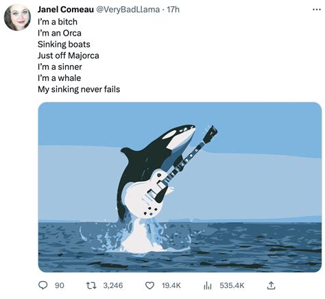 Born To Swim Orca Wars / Killer Whales Attacking Boats Know Your Meme