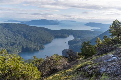 orcas island 50k 2024