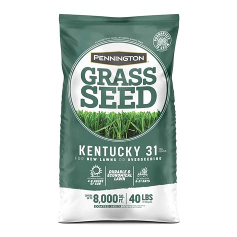 orchard grass seed for sale near me