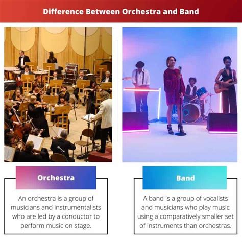 Orchestra Instruments Vs Band Instruments