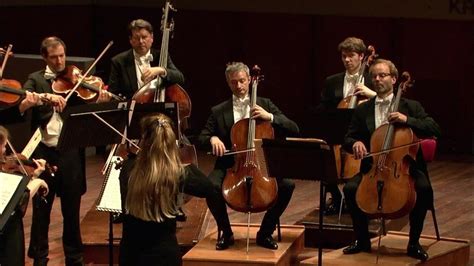 Orchestra Or String Ensemble