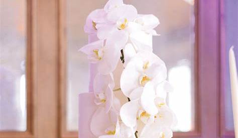 Orchid Wedding Cake Designs Ruffles & s