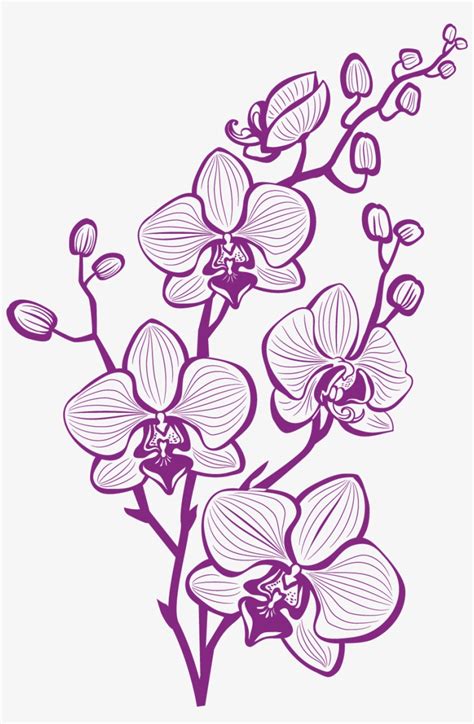 Orchid Flower Vector Free