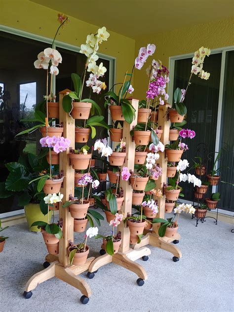 Orchid Hanging Rack