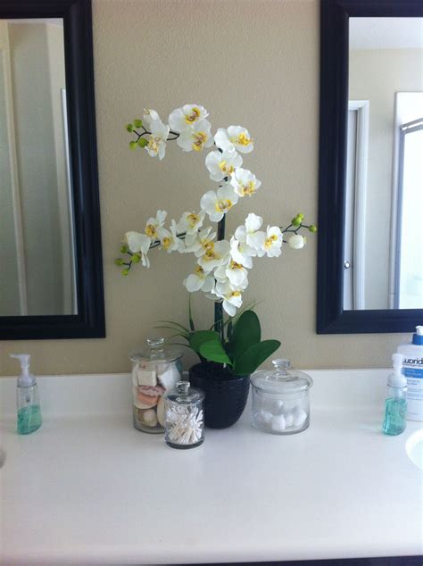 mirukumura.store:orchids in the bathroom reflections on relocation stress