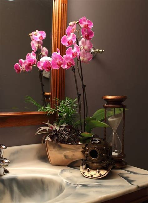 orchids in the bathroom reflections on relocation stress
