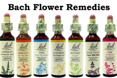 order bach flower remedies online