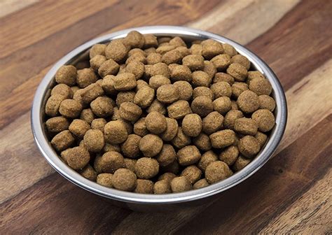 order dog food online cheap