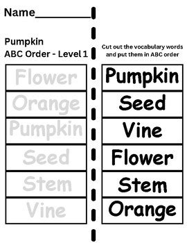 order pumpkin