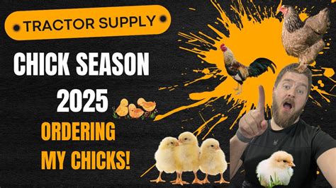 Ordering Chicks From Tractor Supply