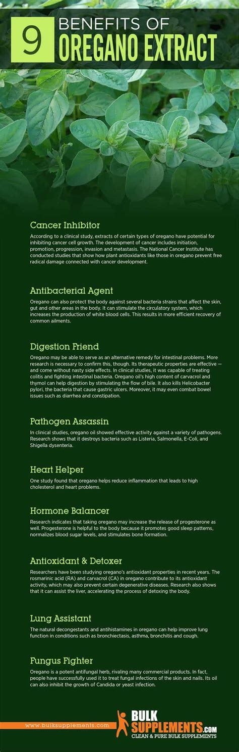 Oregano Leaf Extract Side Effects