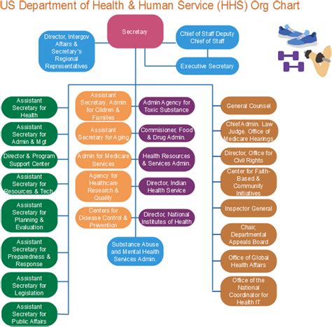 org chart of hhs