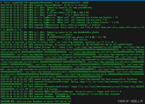 Org.apache.hadoop.yarn.webapp.webappexception Error Starting Http Server