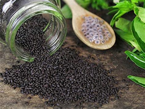 10 Amazing Basil Seeds Health Benefits, Uses & Side Effects Organic Facts