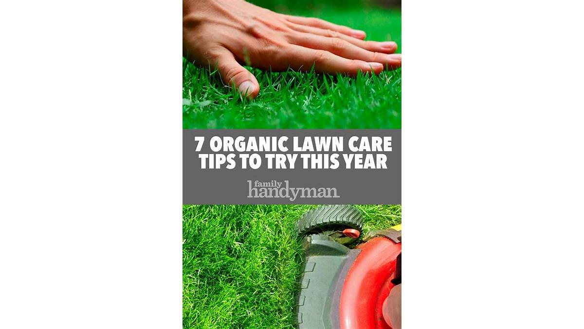 Organic Lawn Care Tips