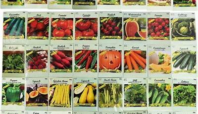Organic Vegetable Seeds Wholesale