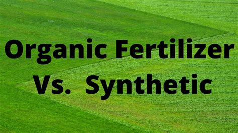 Organic vs. Synthetic Fertilizer for your Lawn YouTube