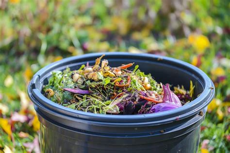 Organic Compost Container Mix