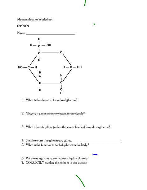 organic compounds macromolecules worksheet answers