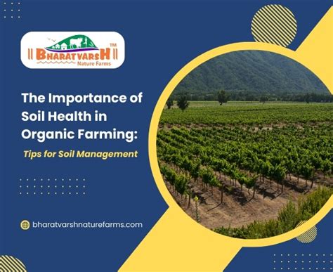 organic farming tips