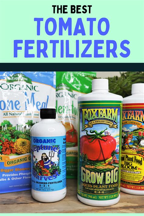 Organic Fertilizer For Flowering Tomatoes