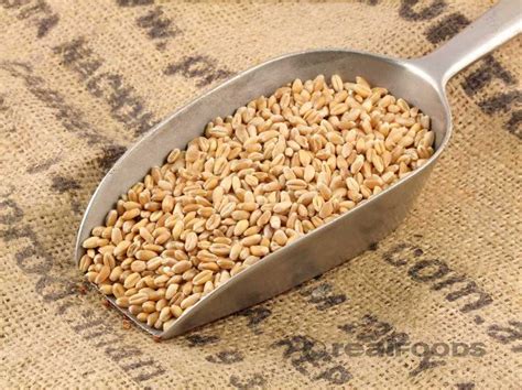 organic grains in bulk