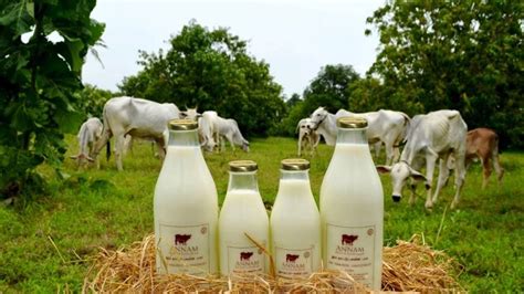 organic milk brands bangalore