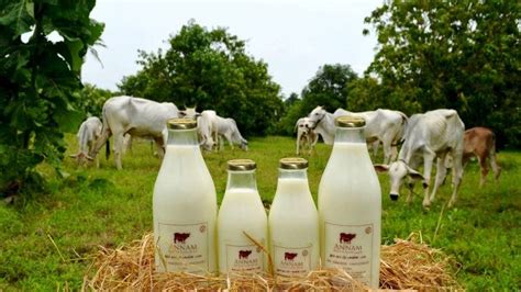 organic milk brands in india