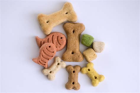 organic natural dog treats