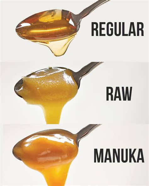 organic raw honey vs manuka honey