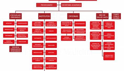 Organigrama – DEF