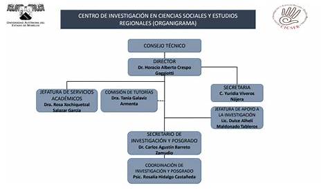 Organigrama Instituto De Investigaciones Y Estudios Superiores | My XXX