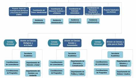 Cuáles son los requisitos para inscribirse en la SIAE de la UAM Xochimilco