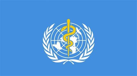 Organisasi Kesehatan Dunia (WHO): Sejarah, Peran, dan Dampaknya terhadap Kesehatan Global