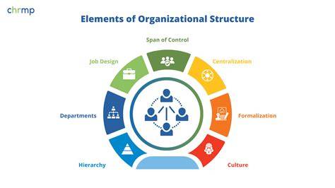 Organization and Management