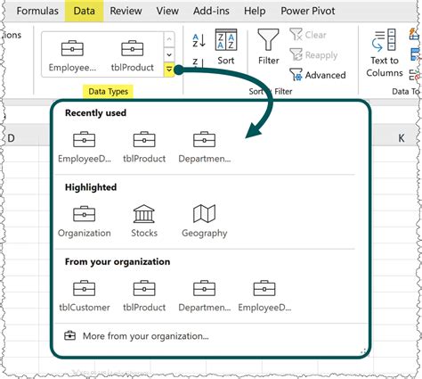 Organization Data Type Excel