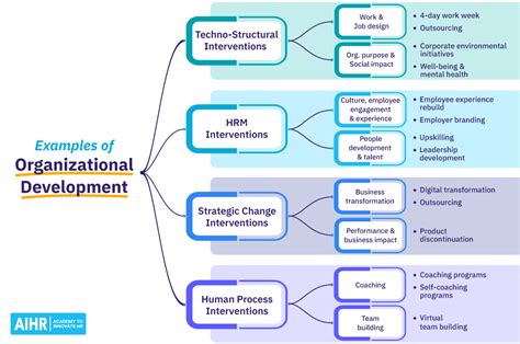 Organization Examples In English